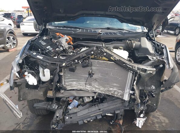1FTFW1ED4PFD08905 2023 FORD F150 Gray Widok z tyłu