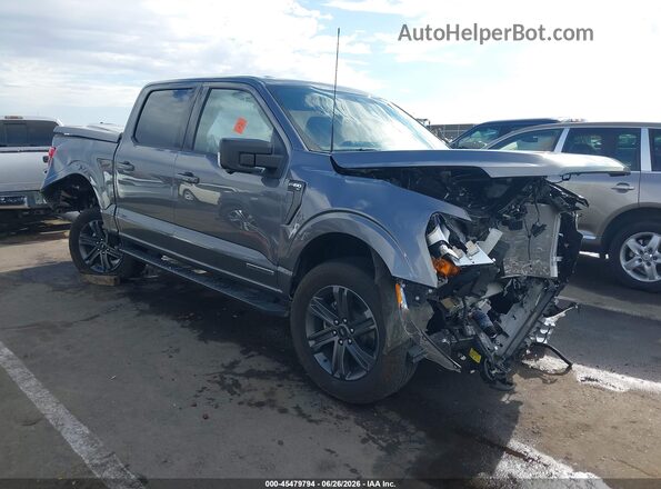 1FTFW1ED4PFD08905 2023 FORD F150 Gray Widok z przodu