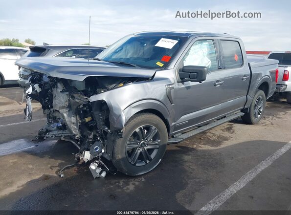 1FTFW1ED4PFD08905 2023 FORD F150 Gray Przód lewy