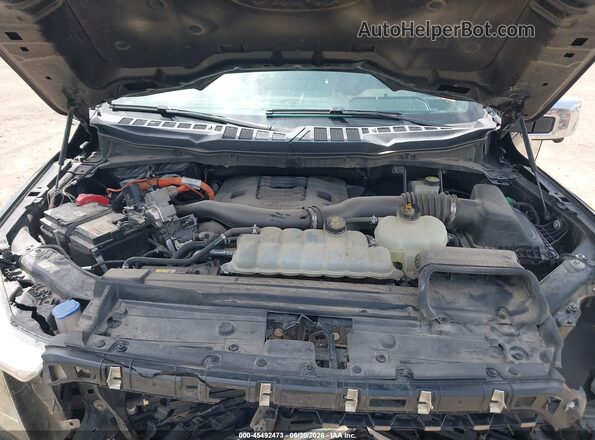 1FTFW1ED5MFC05410 2021 FORD F150 Black Вид ззаду