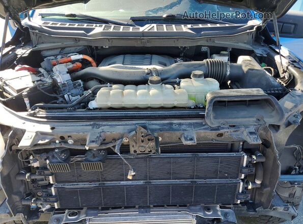 1FTFW1ED5MFC49455 2021 FORD F150 Blue Սալոնի հետևի տեսք