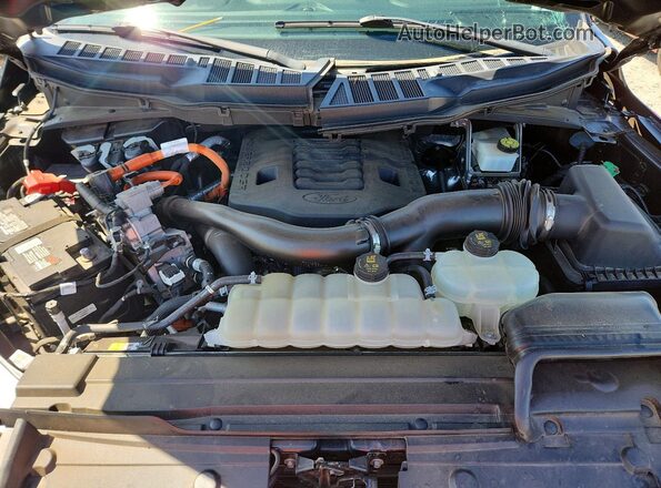 1FTFW1ED5MFC58477 2021 FORD F150 Black 