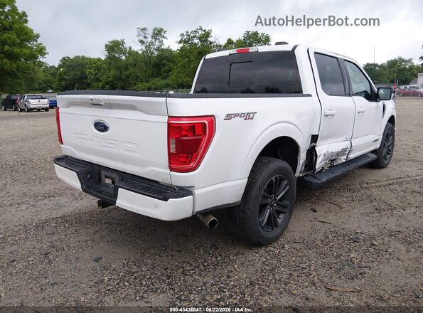 1FTFW1ED5NFB53066 2022 FORD F150 White Հետևի աջ