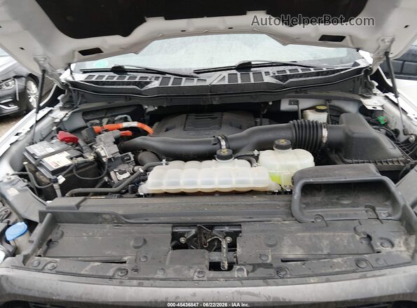 1FTFW1ED5NFB53066 2022 FORD F150 White Հետևի տեսք
