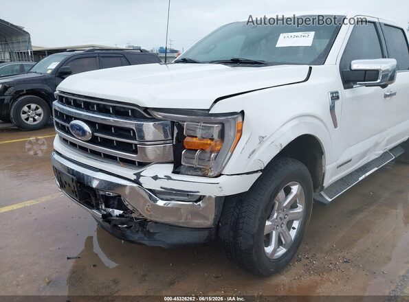 1FTFW1ED6NFB81250 2022 FORD F150 White Դիմացի տեսք