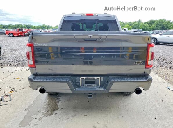 1FTFW1ED6PFB43276 2023 FORD F150 Gray Հետևի տեսք