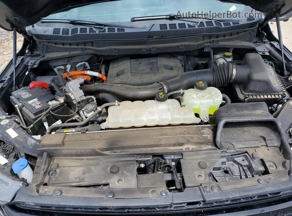 1FTFW1ED6PFB43276 2023 FORD F150 Gray Սալոնի հետևի տեսք