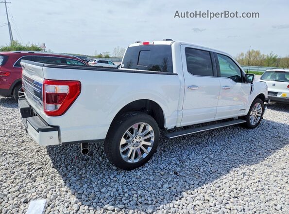 1FTFW1ED6PFB49191 2023 FORD F150 White Հետևի աջ