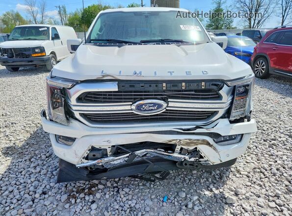 1FTFW1ED6PFB49191 2023 FORD F150 White Դիմացի տեսք