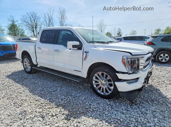 1FTFW1ED6PFB49191 2023 FORD F150 White Առջևի աջ