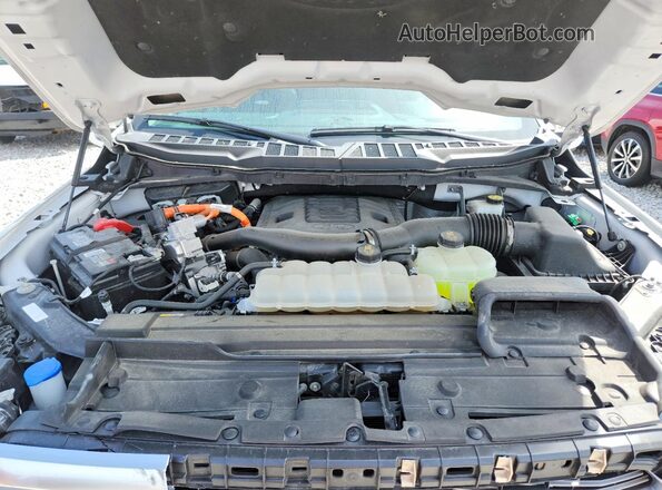 1FTFW1ED6PFB49191 2023 FORD F150 White Սալոնի հետևի տեսք