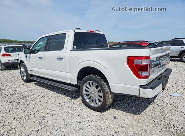 1FTFW1ED6PFB49191 2023 FORD F150 White Հետևի ձախ