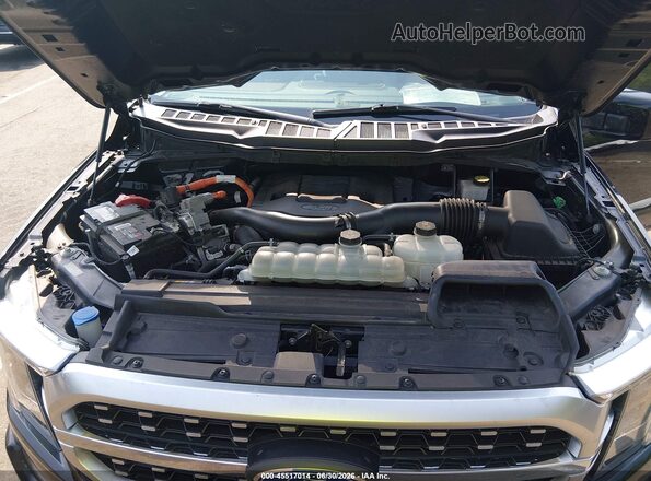 1FTFW1ED8MFA89605 2021 FORD F150 Черный Вид сзади