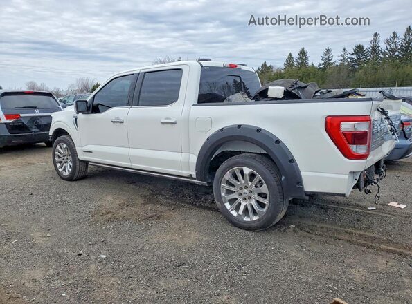 1FTFW1ED9PFD15252 2023 FORD F150 White Trasero izquierdo