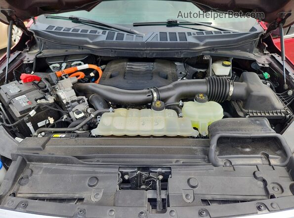 1FTFW1EDXMFC70933 2021 FORD F150 Red უკანა სალონის ხედი