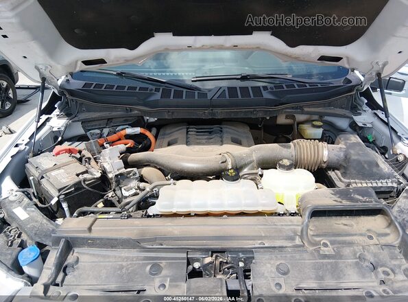 1FTFW1EDXPFA72809 2023 FORD F150 White Widok z tyłu