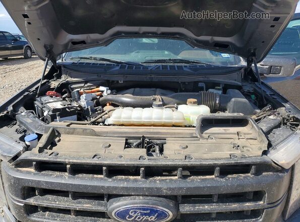 1FTFW1EDXPFB64521 2023 FORD F150 Charcoal უკანა სალონის ხედი