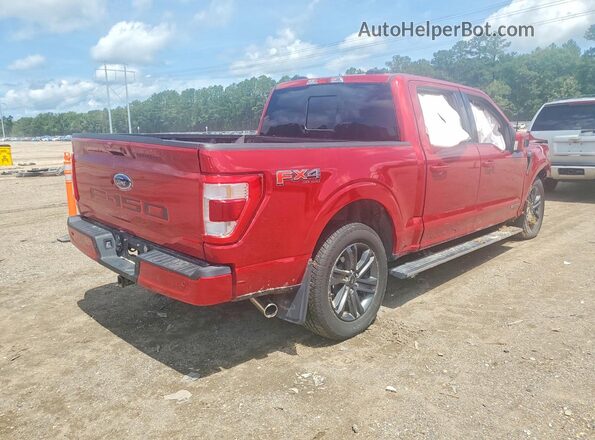 1FTFW1EDXPFB92447 2023 FORD F150 Красный 