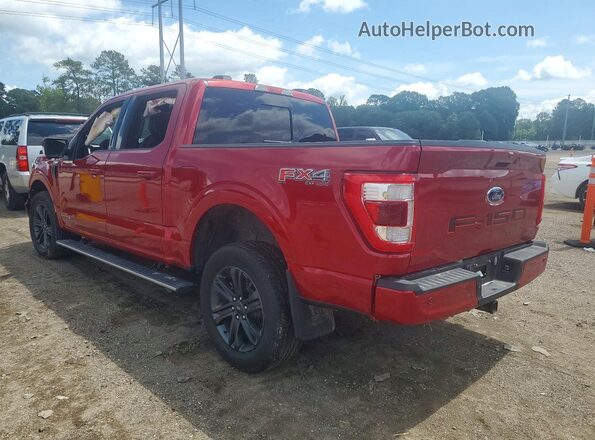 1FTFW1EDXPFB92447 2023 FORD F150 Красный 