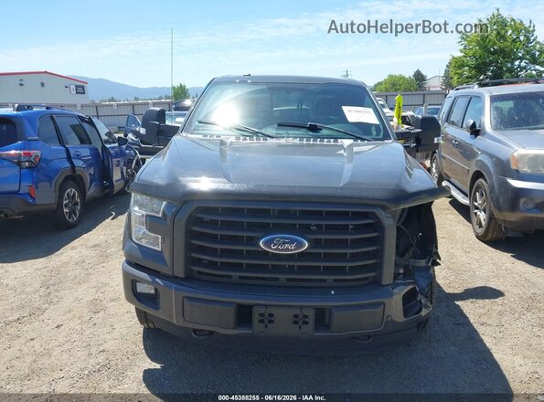 1FTFW1EG2GKD18141 2016 FORD F150 Серый Вид задней части салона