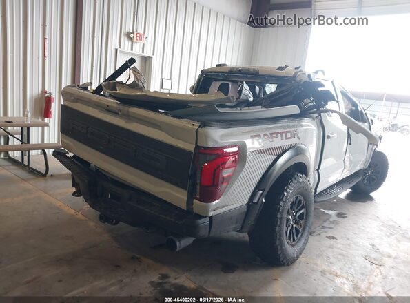 1FTFW1RG0SFC60011 2025 FORD F150 Gray უკანა მარჯვენა