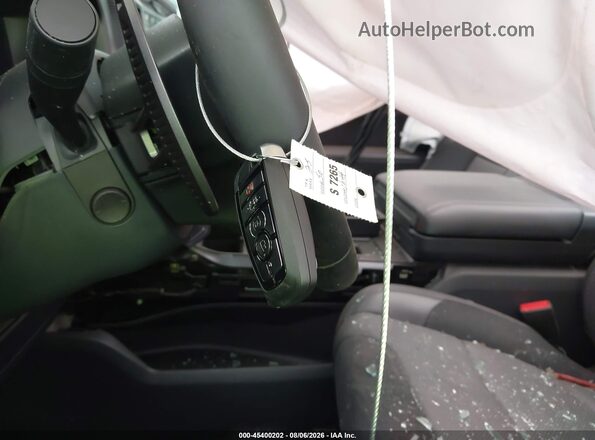 1FTFW1RG0SFC60011 2025 FORD F150 Gray წინა პანელის ხედი