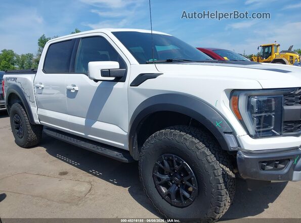 1FTFW1RG1PFA11823 2023 FORD F150 Белый Вид задней части салона