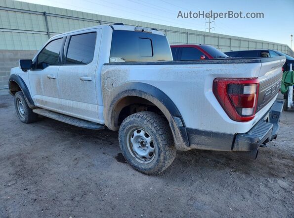1FTFW1RG2PFA45012 2023 FORD F150 White Tył lewy