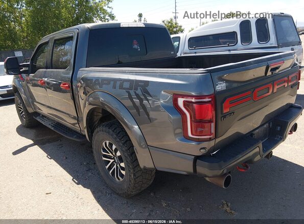 1FTFW1RG4KFB90464 2019 FORD F150 Silver Trasero izquierdo