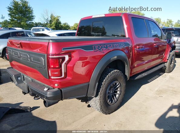 1FTFW1RG5LFA35035 2020 FORD F150 Red Задня права чверть