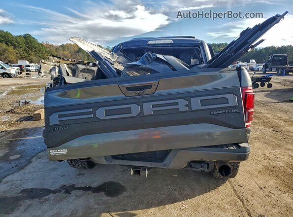 1FTFW1RG7KFC16524 2019 FORD F150 Gray უკანა ხედი