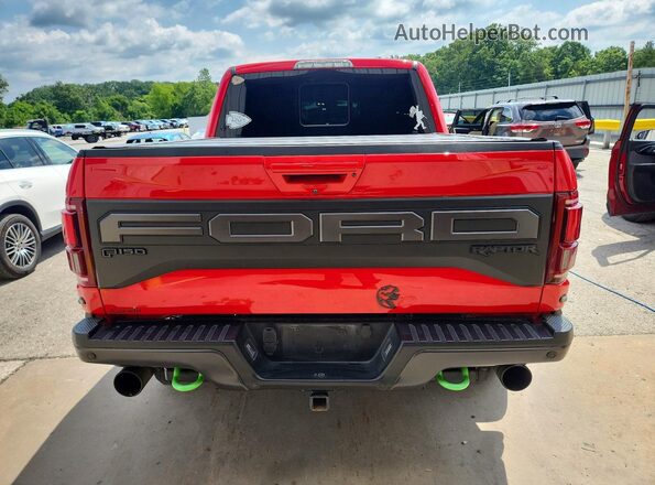 1FTFW1RG8KFA87032 2019 FORD F150 Red Rear view
