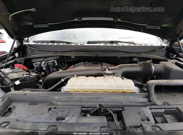 1FTFW1RGXRFB11826 2024 FORD F150 Dark Brown Вид ззаду