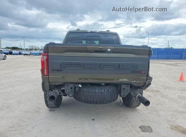 1FTFW1RJ6RFB90102 2024 FORD F150 Green Հետևի տեսք