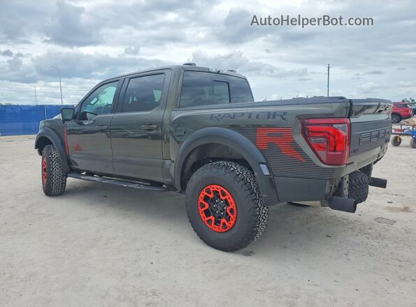1FTFW1RJ6RFB90102 2024 FORD F150 Green Հետևի ձախ