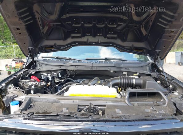 1FTFW2L56RKE05633 2024 FORD F150 Gray უკანა ხედი