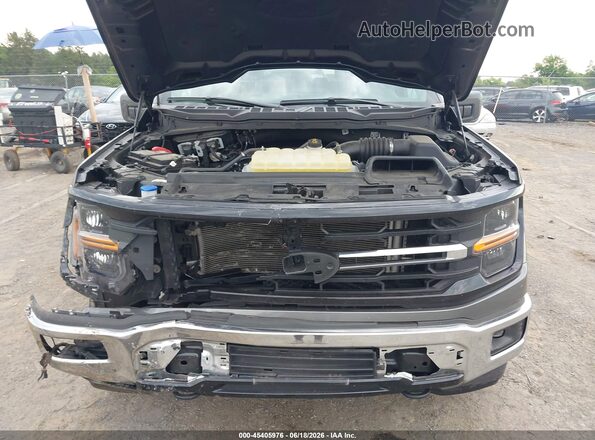 1FTFW3L52SKE29262 2025 FORD F150 Gray Front view