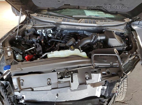 1FTFW3L53TFA09228 2026 FORD F150 Gray Widok wnętrza z tyłu