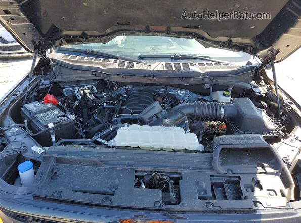 1FTFW3L53TKD06135 2025 FORD F150 Gray Widok wnętrza z tyłu