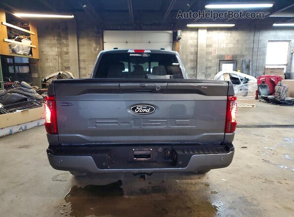 1FTFW3L55SKE99029 2025 FORD F150 Gray Հետևի տեսք