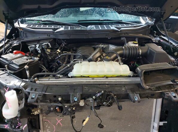 1FTFW3L55SKE99029 2025 FORD F150 Gray Սալոնի հետևի տեսք