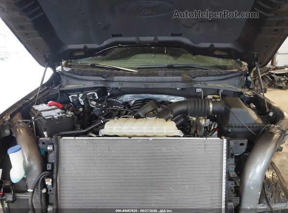 1FTFW3L59SFB79401 2025 FORD F150 Gray უკანა ხედი