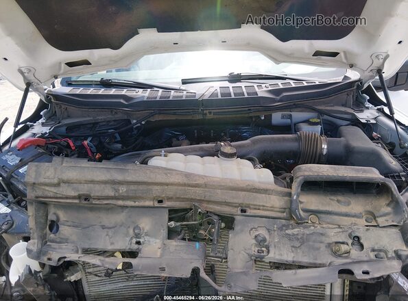 1FTFW3L82RFA07666 2024 FORD F150 White უკანა ხედი