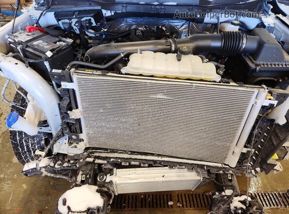 1FTFW3L83RFB54935 2024 FORD F150 Gray Widok wnętrza z tyłu