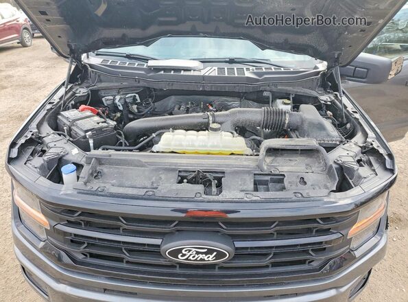 1FTFW3L84SKF19474 2025 FORD F150 Серый Вид задней части салона
