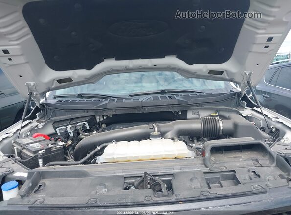 1FTFW3L86RKF79248 2024 FORD F150 Gray Հետևի տեսք
