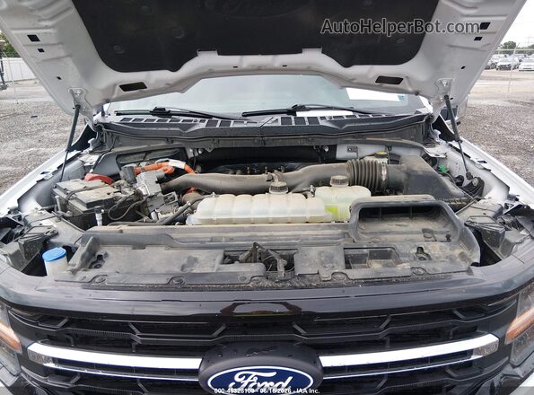 1FTFW3LD0RFA09686 2024 FORD F150 White Rear view