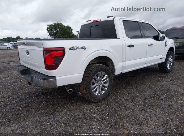 1FTFW3LD0RFA09686 2024 FORD F150 White Rear right