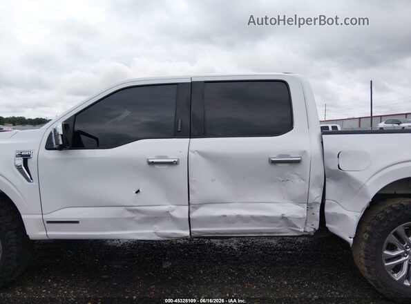 1FTFW3LD0RFA09686 2024 FORD F150 White 