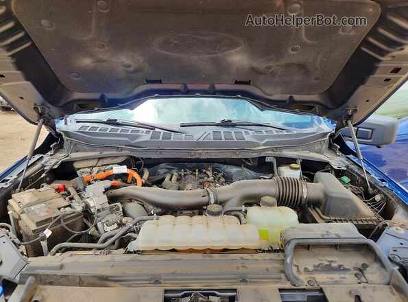 1FTFW3LD0RFA49296 2024 FORD F150 Blue უკანა სალონის ხედი